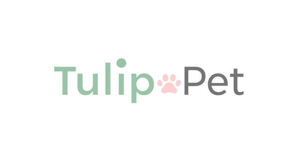 Tulipa pet